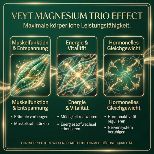 Veyt Multi-Magnesium Synergy – Infografik: Wirkstoffe und Vorteile
