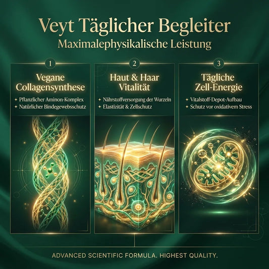 Veyt Immune Defence Liquid – Infografik: Wirkstoffe und Vorteile