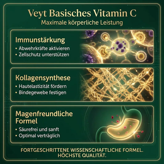 Veyt Immune Power C – Produktdetailbild