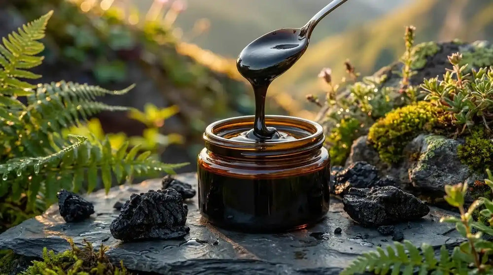 Shilajit Wirkung: Was das Himalaya-Harz wirklich kann