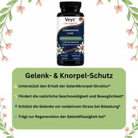 Pure Chondroitin Performance