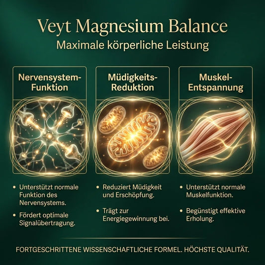 Veyt Premium Magnesium Matrix – Infografik: Wirkstoffe und Vorteile