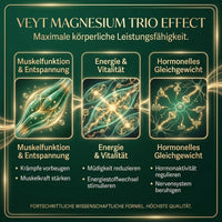Multi-Magnesium Synergy
