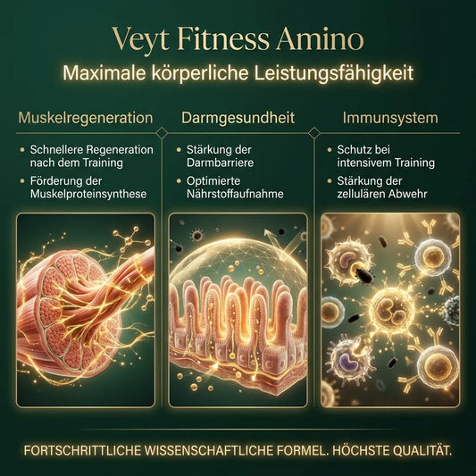 Veyt Pure L-Glutamine Recovery – Infografik: Wirkstoffe und Vorteile