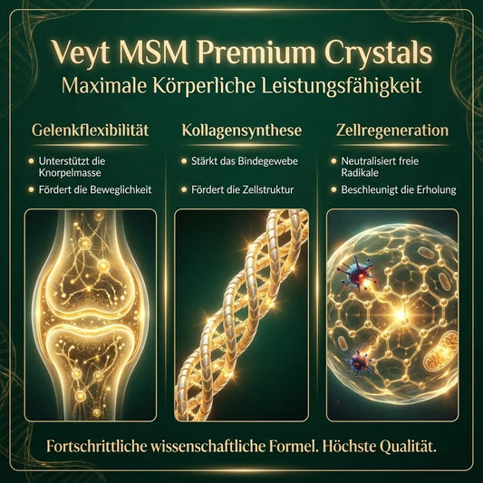 Veyt Pure MSM Sulfur Complex – Infografik: Wirkstoffe und Vorteile