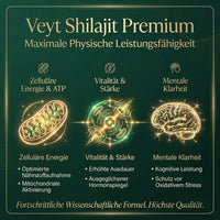 Reines Himalaya Shilajit