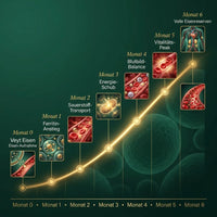 Iron Vitality Core