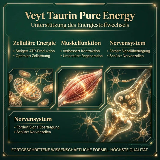 Veyt Pure Taurine Performance – Infografik: Wirkstoffe und Vorteile