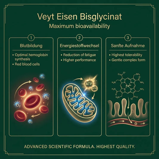 Veyt Iron Vitality Core – Produktdetailbild