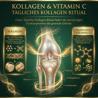 Gelenk Schutz Paket
