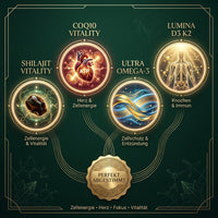Premium Heart, Brain & Energy Bundle