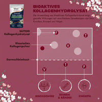 Pure Bovine Collagen Peptides