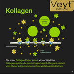 Hyaluron Kollagen Plus