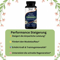 Pure Creatine Performance