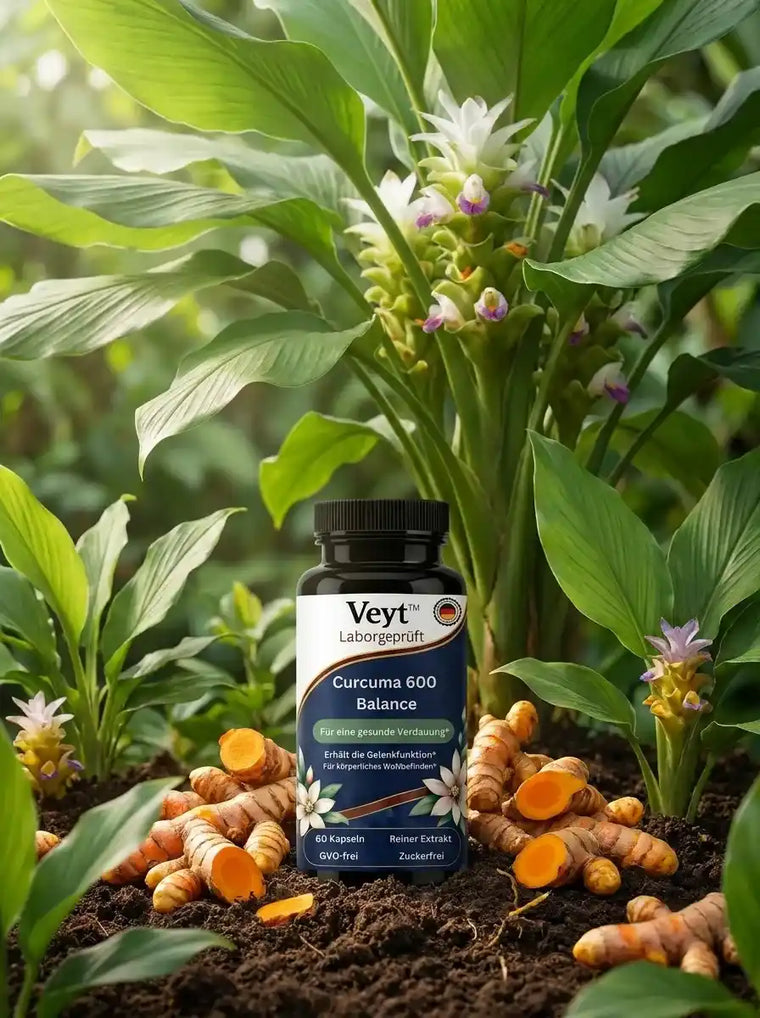 Veyt Curcuma 600 Balance Kapseln mit Piperin