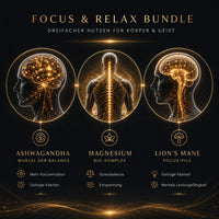 The Focus & Relax Bundle