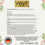 Multi-Komplex Intensiv