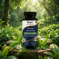 Deep Focus & Brain Fuel Stack