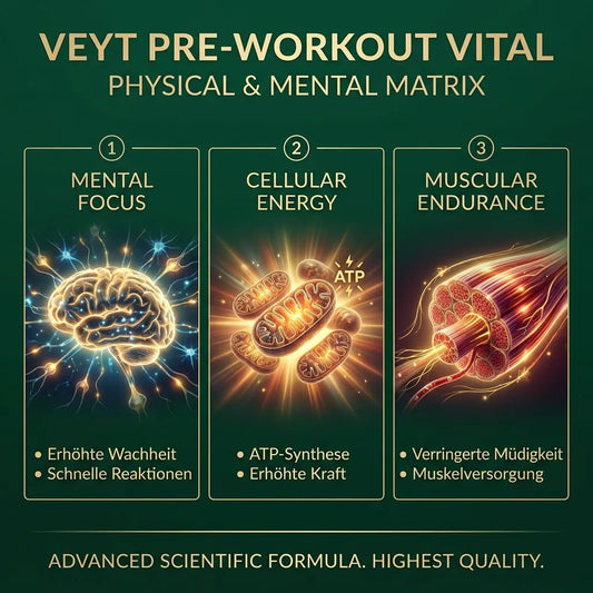 Veyt Performance Pre-Workout Matrix – Produktdetailbild
