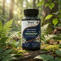 Deep Focus & Brain Fuel Stack