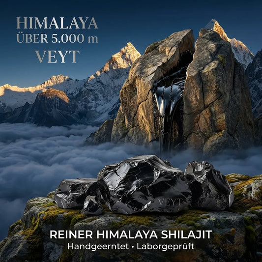 Veyt Shilajit Extrakt Kapseln Nahaufnahme