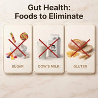 Gut Balance Bundle