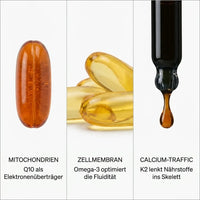 Zellenergie Longevity Bundle