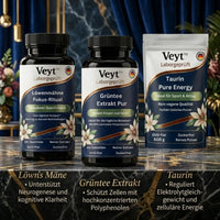 Deep Focus & Brain Fuel Stack